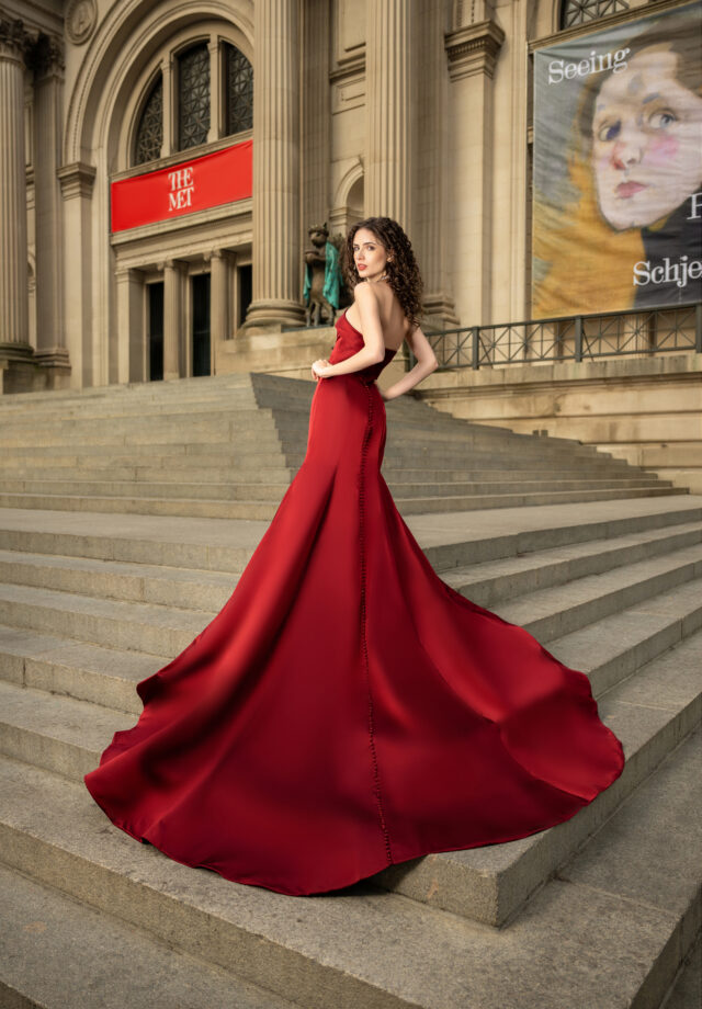 The Scarlett Gown