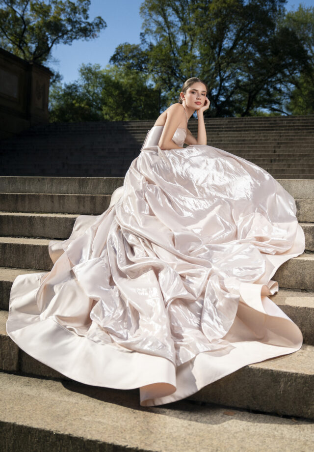 Swan Gown